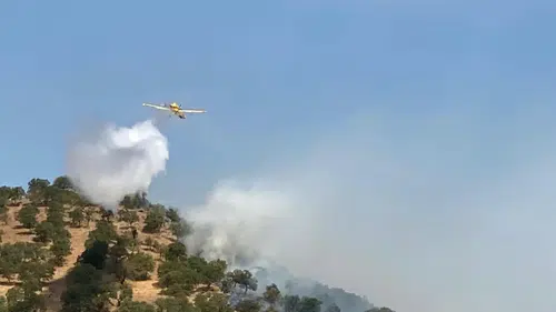 Balıkesir'de Orman Yangını Patlak Verdi: Kurtarma Ekipleri Olay Yerinde!
