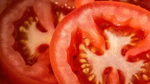 Beş zincir marketten alınan 20 numune laboratuvarda incelendi
