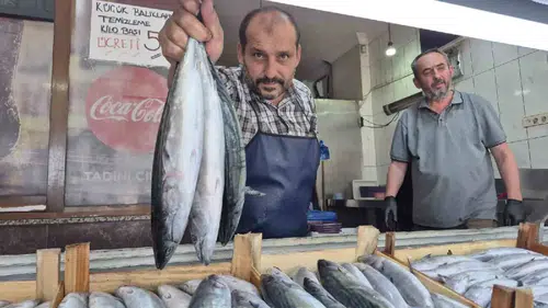 Denizde bereket arttı fiyatlar düştü!