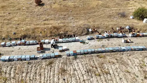 Hasat başladığı gibi kovanlar boşaldı!