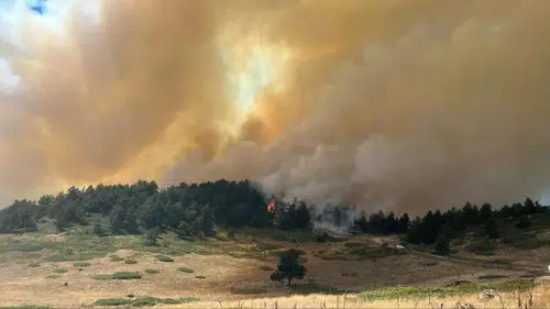 Kızılcahamam'da üç farklı bölgede orman yangını çıktı