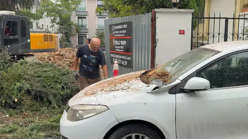 Maltepe'de korkutan kaza: Kesilen ağaç araçların üzerine düştü