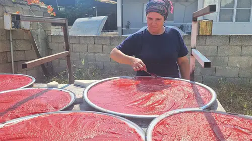 Manisalı Kadınlardan Pratik Salça Tarifi: 10 Günde Tamam!