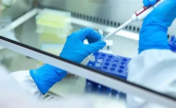 Rusya: Ölen veba laboratuvarı çalışanıyla temaslı birinin hastalandığı iddiası asılsız