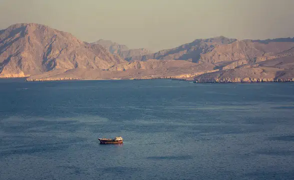 Hürmüz Boğazı'nda Silahlı Saldırı: Üç Konteyner Gemisi Tehlikede!