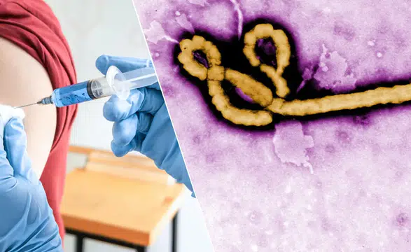 DSÖ'den Ebola Alarmı: Aşının Hazırlanması 9 Ay Sürebilir