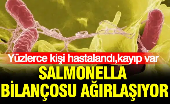 İngiltere'yi salmonella vurdu: Yüzlerce kişi hastalandı kayıp var