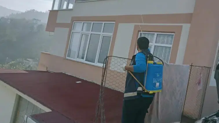 Trabzon'da kahverengi kokarca ile mücadelede kış ilaçlama çalışmaları hız kesmeden devam ediyor