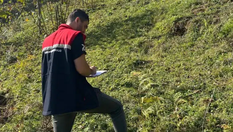 Şalpazarı'nda Fındık Arazilerine Hastalık Tespiti İçin Denetimler Başladı