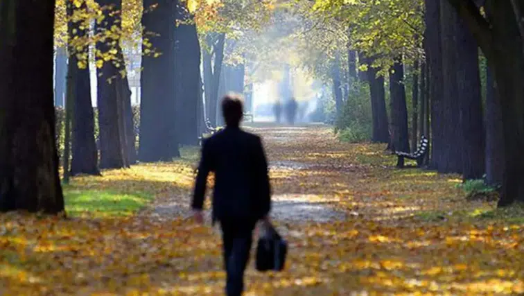 Tek kişilik hane sayısı 10 yılda yüzde 66 arttı