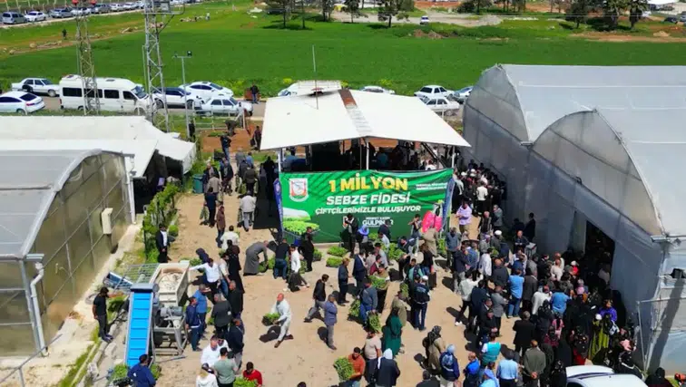 Şanlıurfa Büyükşehir Belediyesi, Tarım Üreticilerini Güçlendirmek İçin 1 Milyon Fide Dağıttı