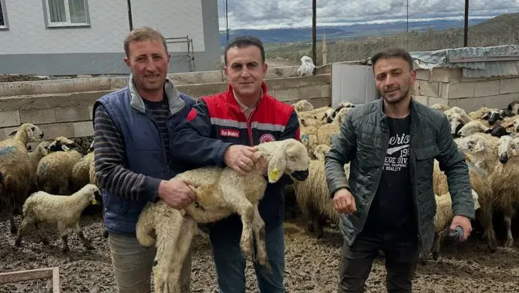 Bayburt'ta Köyümde Yaşamak İçin Proje İle Küçükbaş Hayvan Çalışmaları Devam Ediyor