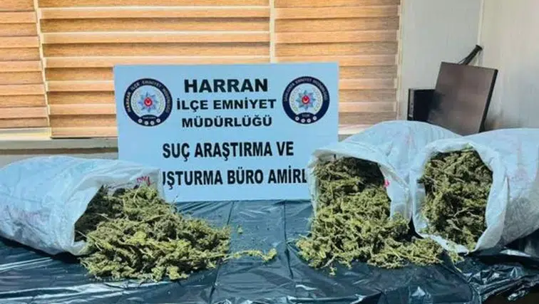 Şanlıurfa'da Uyuşturucu Operasyonu: 8 Kilo Ağırlığında Esrar Yakalandı