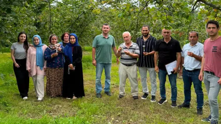 Kahverengi Kokarcaya Karşı Samuray Arısı ile Mücadele Sürüyor