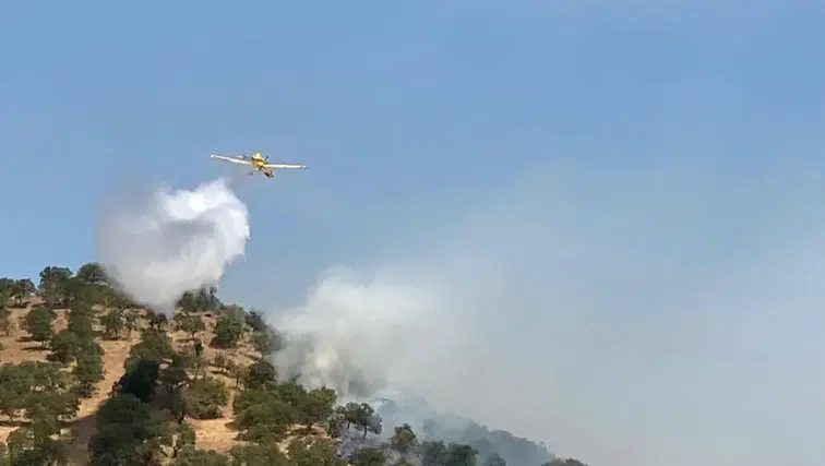 Balıkesir'de Orman Yangını Patlak Verdi: Kurtarma Ekipleri Olay Yerinde!