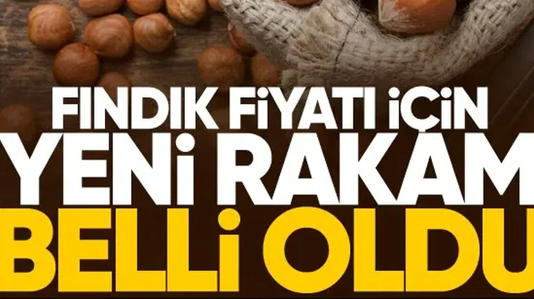 Fındık fiyatı için yeni tahmin belli oldu!