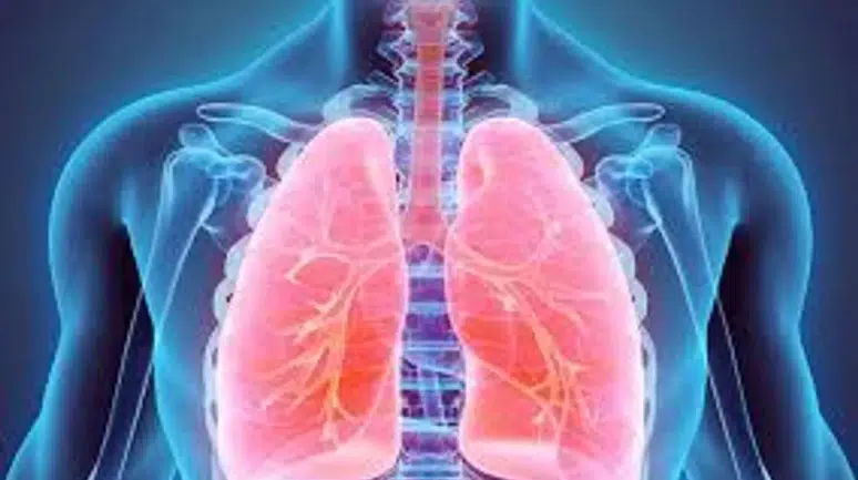 3 Gün Süren Ateş ve Nefes Darlığına Dikkat: Zatürre Belirtisi Olabilir