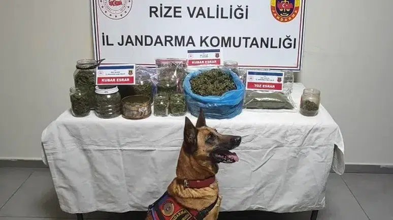 Rize’de Jandarmadan Uyuşturucu Operasyonu: 2,4 Kilo Kubar Esrar Ele Geçirildi