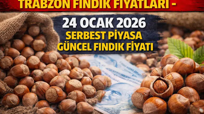 Trabzon fındık fiyatları - 24 Ocak 2026 serbest piyasa güncel fındık fiyatı