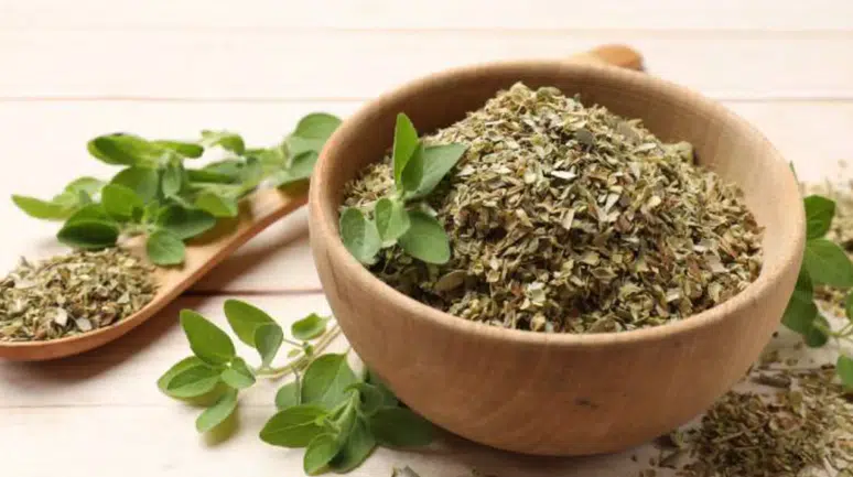 Kekik Doğal Antibiyotik mi? Bilimsel Gerçekler ve Faydaları