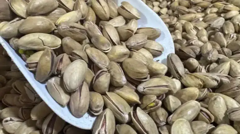 Dünya Genelinden 94 Ülke Anadolu'nun Yeşil Altını İçin Sıra Bekliyor!