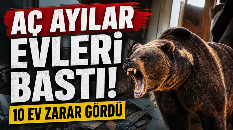 Aç Ayılar Evleri Bastı, 10 Ev Zarar Gördü