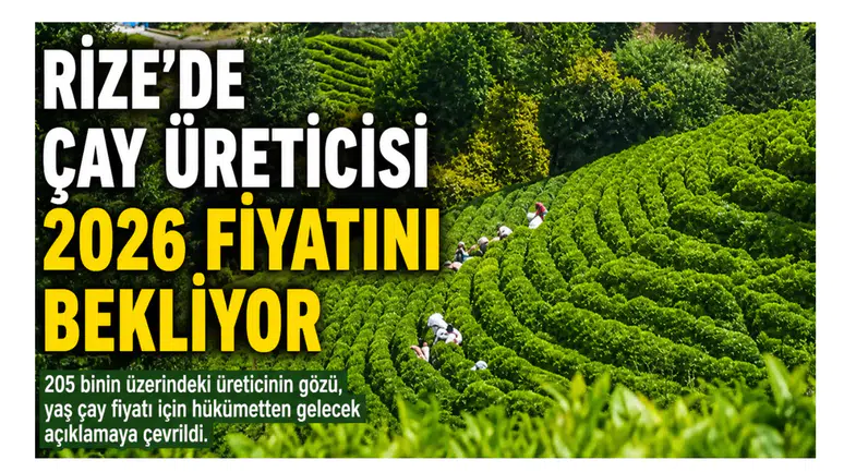 Rize’de Çay Üreticisi 2026 Fiyatını Bekliyor