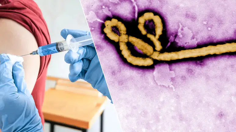 DSÖ'den Ebola Alarmı: Aşının Hazırlanması 9 Ay Sürebilir