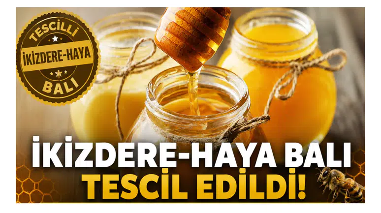 İkizdere-Haya Balı Tescil Edildi: Köyümüzün Balını Koruma ve Geliştirme Amacıyla Tescil Ettirdik