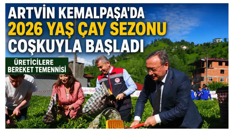 Artvin Kemalpaşa’da 2026 Yaş Çay Sezonu Coşkuyla Başladı: Üreticilere Bereket Temennisi