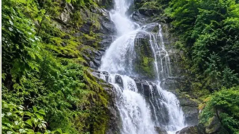 Kalkandere’nin Saklı Güzelliği Çağlayan Şelalesi Turizme Kazandırılmayı Bekliyor