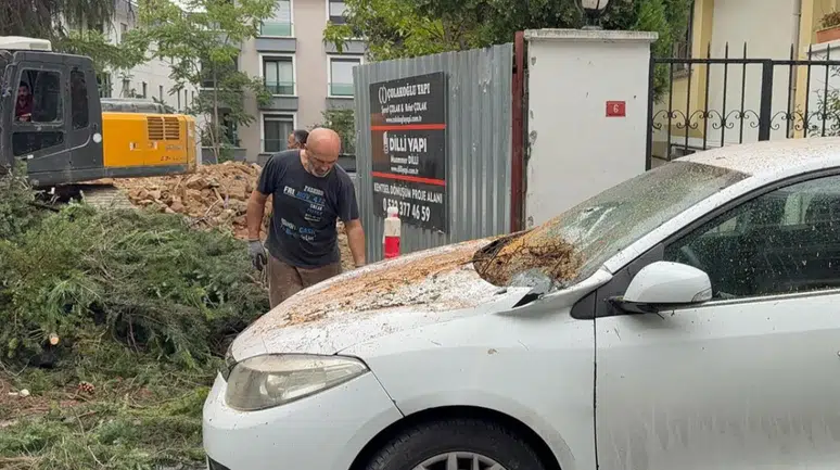 Maltepe'de korkutan kaza: Kesilen ağaç araçların üzerine düştü