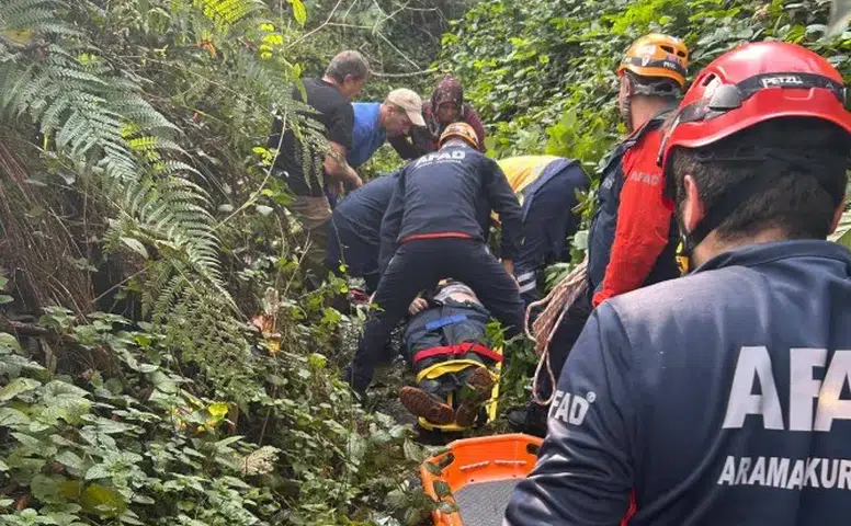 Rize'de ağaç keserken üzerine ağaç düşen vatandaş kurtarıldı