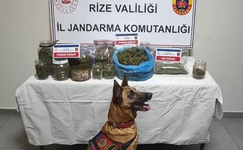 Rize’de Jandarmadan Uyuşturucu Operasyonu: 2,4 Kilo Kubar Esrar Ele Geçirildi