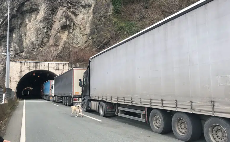 Sarp Sınır Kapısı Yolunda Çalışma: Trafik Kontrollü Veriliyor