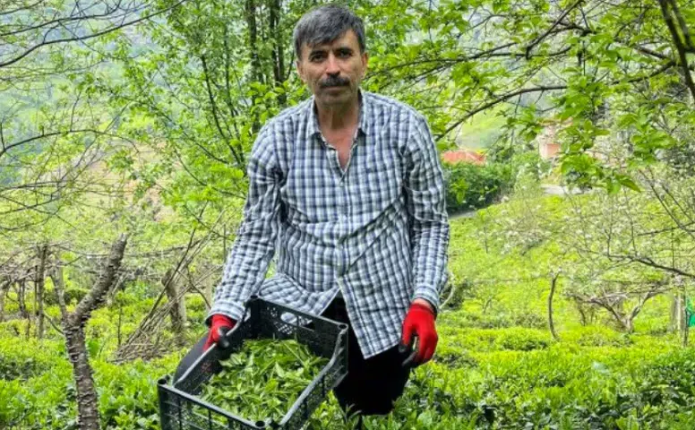 Müfit Akman’dan Dünya Gıda Günü Mesajı: Bugün Yenilik Yapalım, Yarınlarımızı Besleyelim