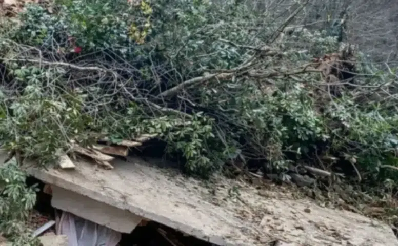Rize’de Gece Yarısı Heyelanı: Bostan Ailesinin Evi Yerle Bir Oldu