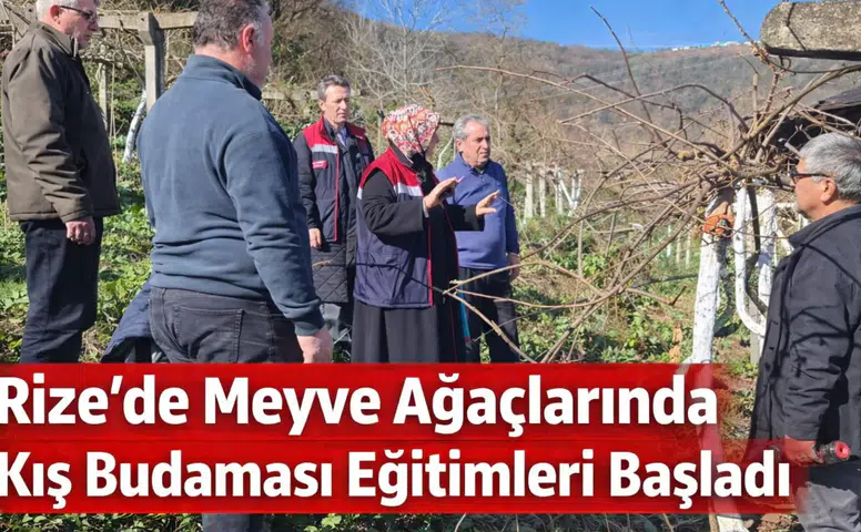 Rize İl Tarım ve Orman Müdürlüğü Meyve Ağaçlarında Kış Budaması Eğitimlerine Başladı
