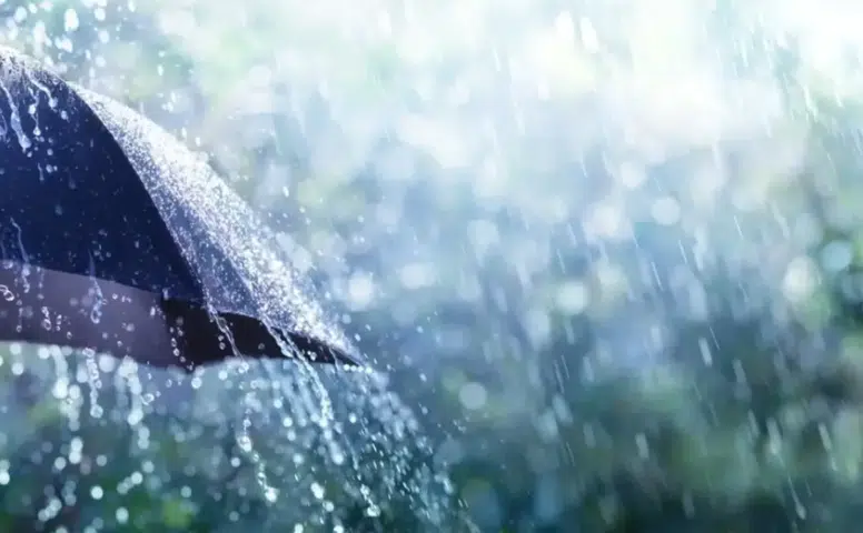 28 Şubat 2026 Rize’de Hava Durumu: Yağış Devam Eder mi, Sıcaklık Kaç Derece Olacak?