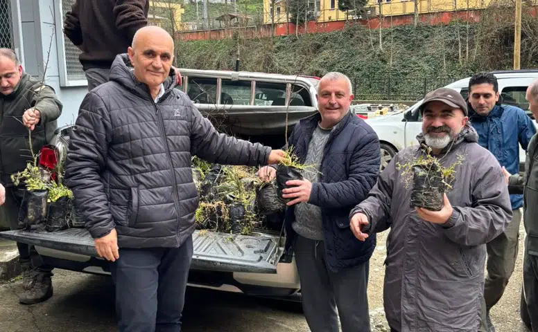 Hemşin’de Orman Haftası Etkinliği: Vatandaşlara Ücretsiz Fidan Dağıtıldı