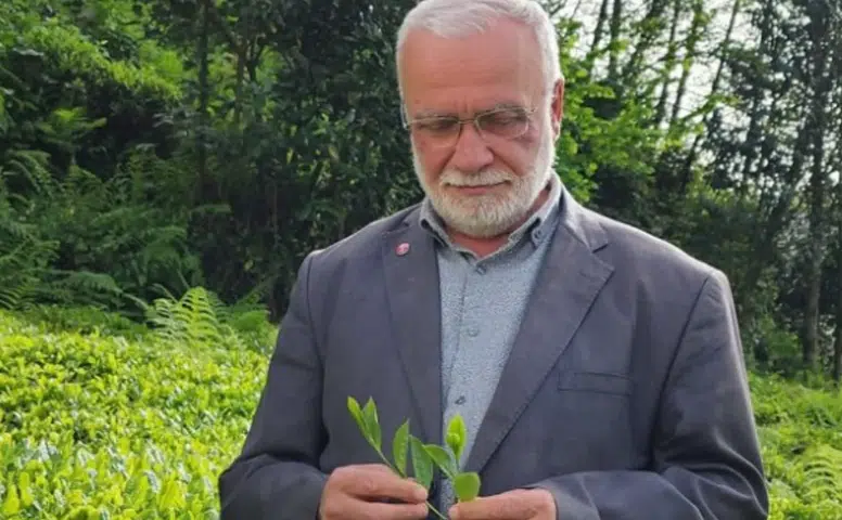 Rize Çay Sanayicileri Derneği’nden Çay Politikalarına Eleştiri: Sektör Belirsizlik İçinde