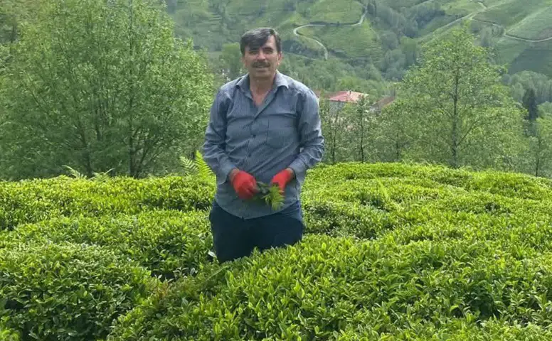 Müfit Akman’dan Çay Üreticilerine Gübreleme Uyarısı: Mart ve Nisan Aylarına Dikkat