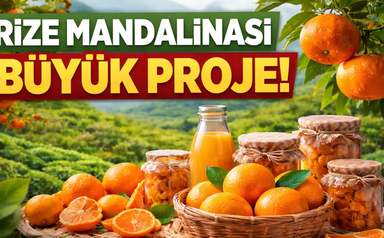 RTEÜ’den Rize Mandalinası Hamlesi: Meyve ve Kabuğundan 15 Ürün Üretilecek