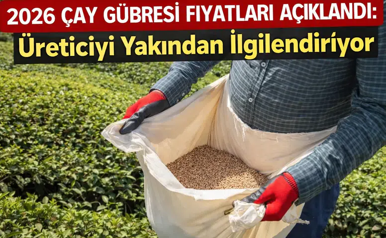 2026 Çay Gübresi Fiyatları Açıklandı: Üreticiyi Yakından İlgilendiriyor