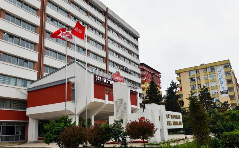 Çaykur 2026 Yaş Çay Kampanyası İçin Hazırlıklarını Hızlandırdı