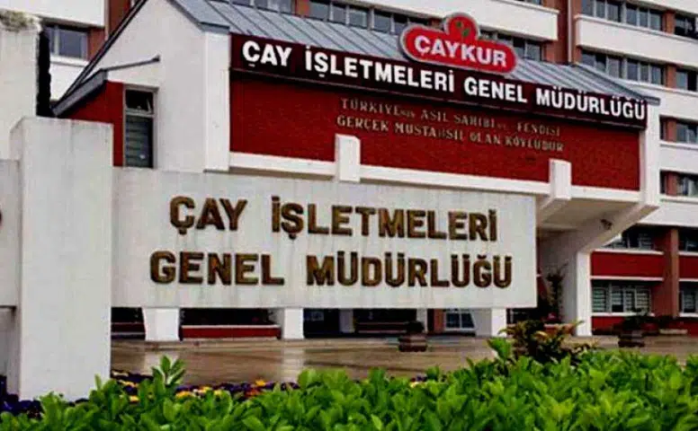 ÇAYKUR'da İşçiler için Beklentiler Suya Düştü: 'Dağ Fare Doğurdu'