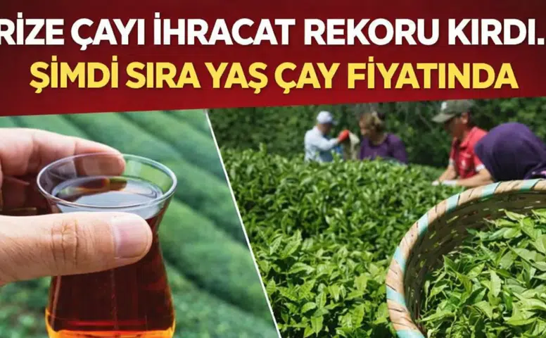 Rize Çayı İhracatta Rekor Kırdı! 3 Ayda 34,8 Milyon Dolar Gelir