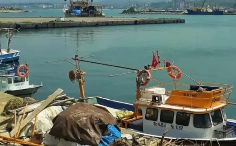 Av yasağıyla Rize'de balıkçılıkta sessizlik, sürdürülebilirlik için denetimler arttı