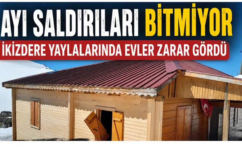 Ayı Saldırıları Bitmiyor: İkizdere Yaylalarında Evler Zarar Gördü