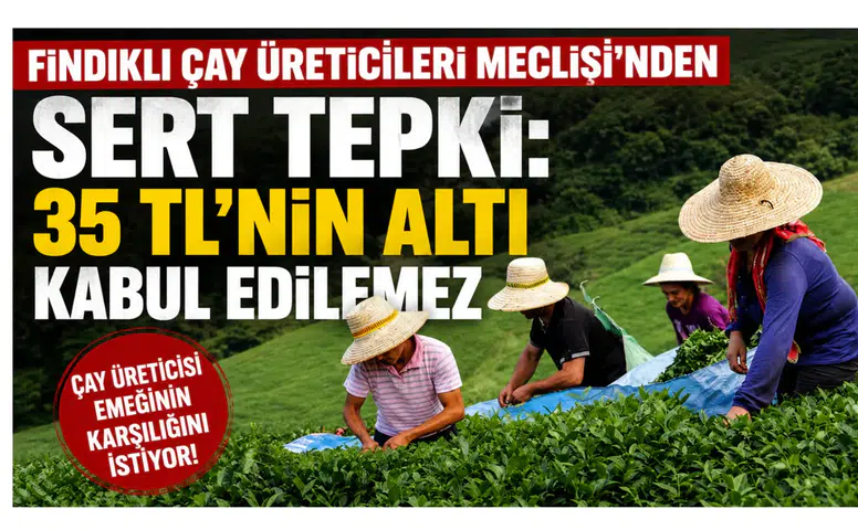Fındıklı Çay Üreticileri Meclisi’nden Sert Tepki: 35 TL’nin Altı Kabul Edilemez